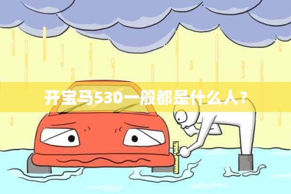 开宝马530一般都是什么人？