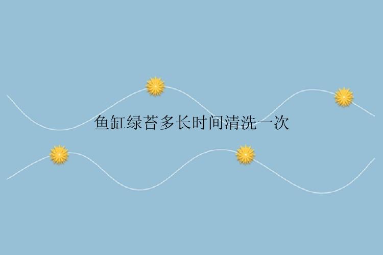 鱼缸绿苔多长时间清洗一次