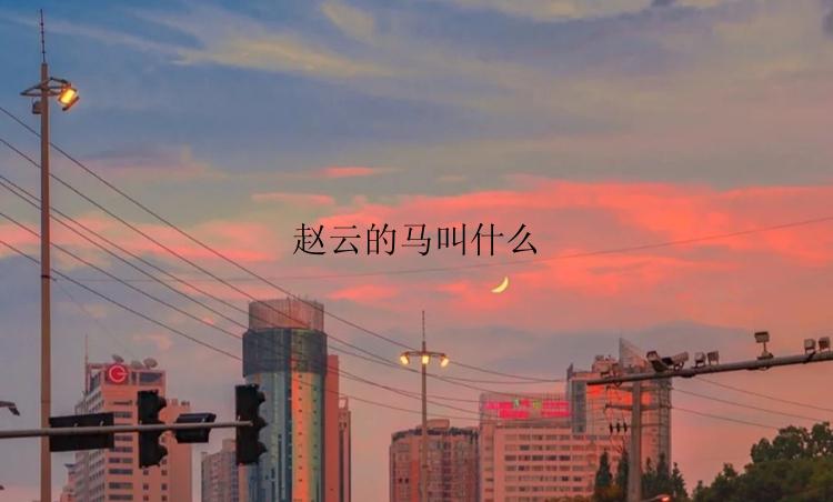 赵云的马叫什么