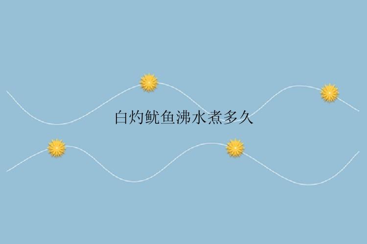 白灼鱿鱼沸水煮多久