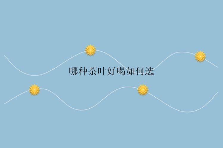 哪种茶叶好喝如何选