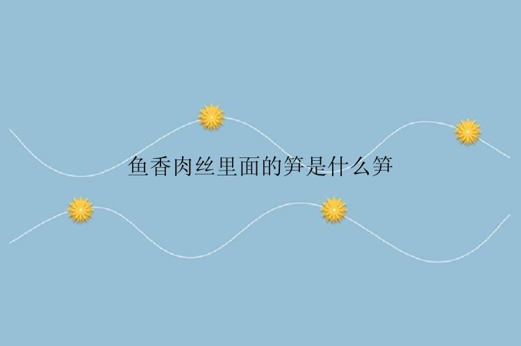 鱼香肉丝里面的笋是什么笋