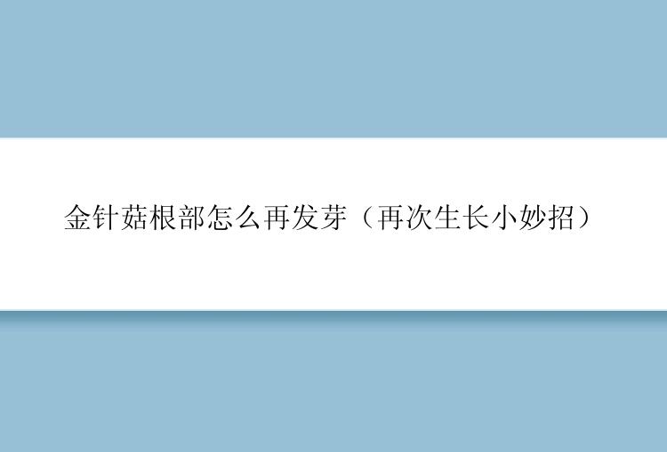 金针菇根部怎么再发芽（再次生长小妙招）