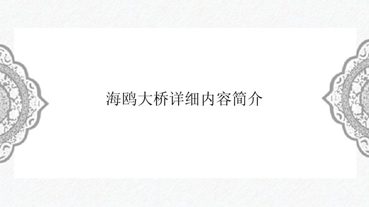 海鸥大桥详细内容简介