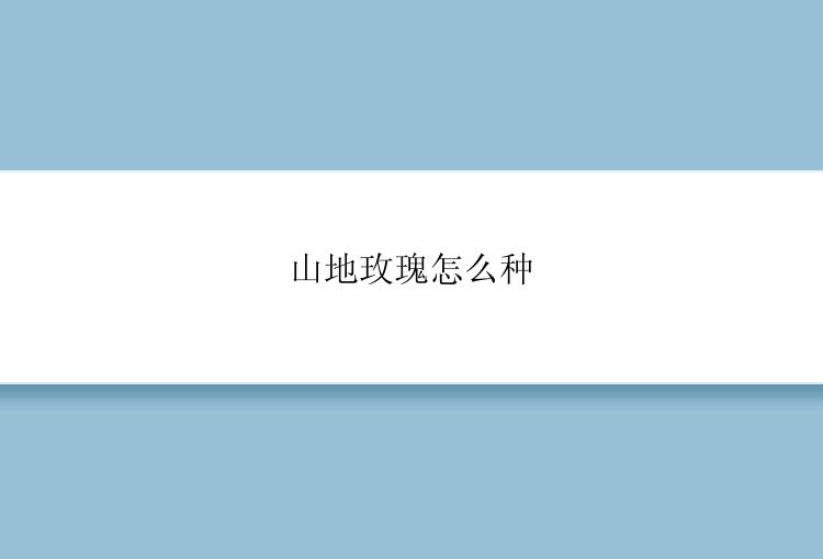 山地玫瑰怎么种