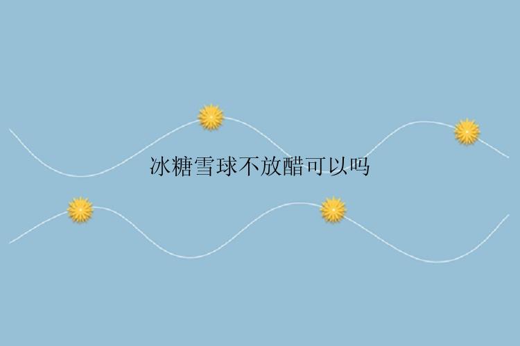 冰糖雪球不放醋可以吗