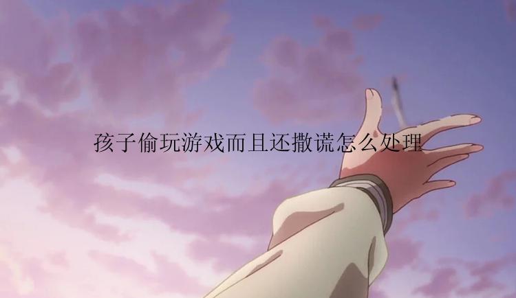 孩子偷玩游戏而且还撒谎怎么处理