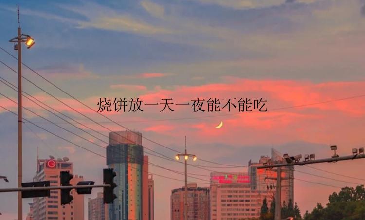 烧饼放一天一夜能不能吃