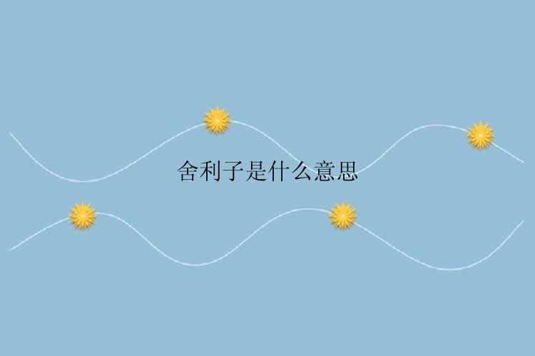 舍利子是什么意思