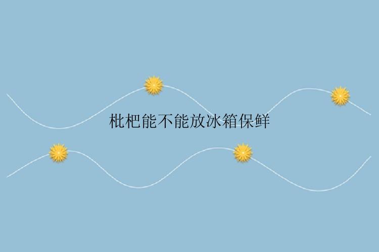 枇杷能不能放冰箱保鲜