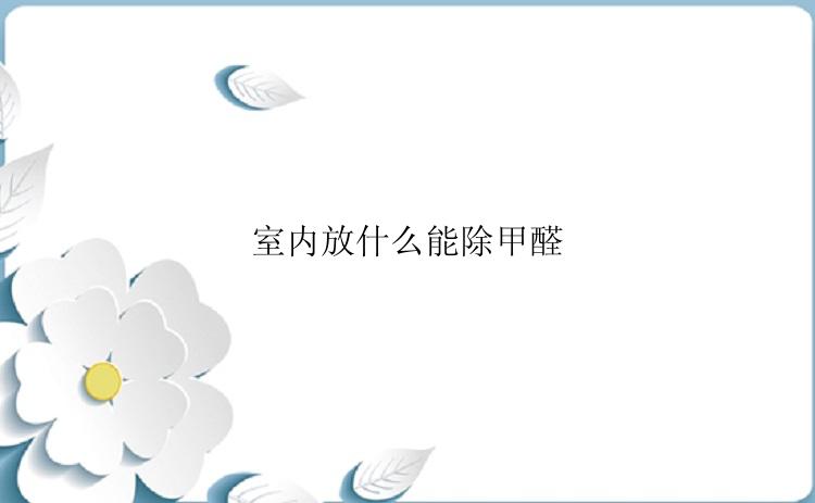 室内放什么能除甲醛