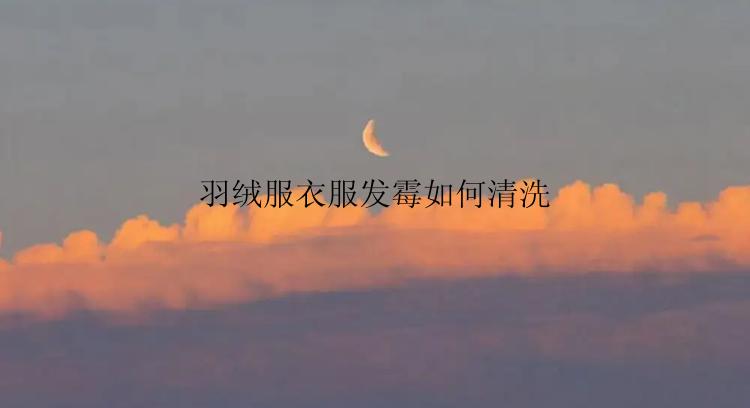 羽绒服衣服发霉如何清洗