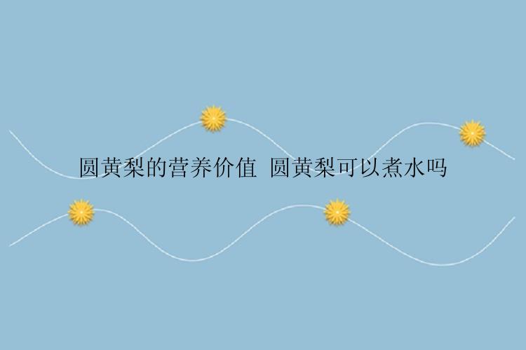 圆黄梨的营养价值 圆黄梨可以煮水吗