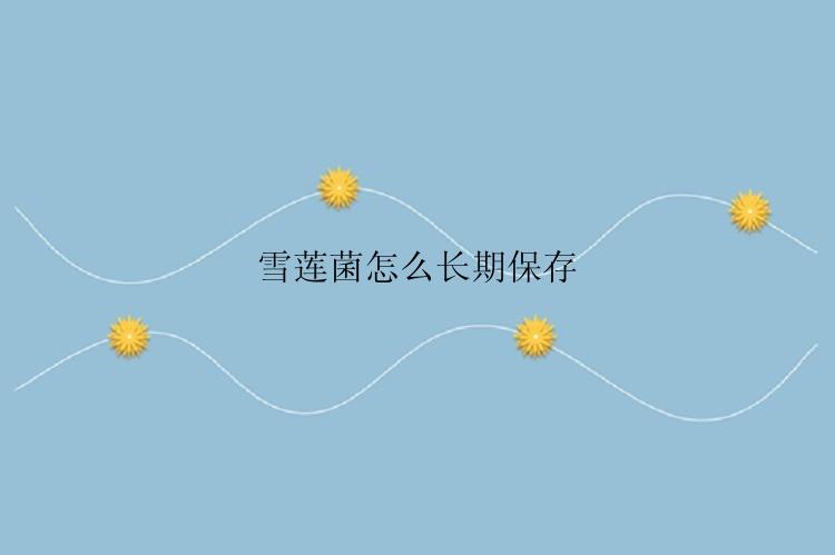 雪莲菌怎么长期保存