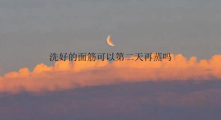 洗好的面筋可以第二天再蒸吗