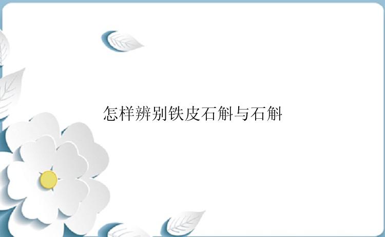 怎样辨别铁皮石斛与石斛
