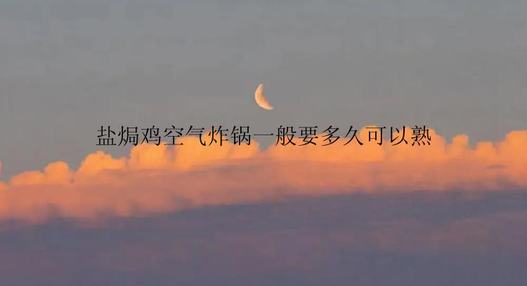 盐焗鸡空气炸锅一般要多久可以熟