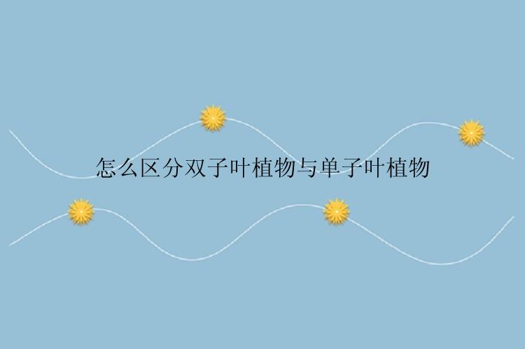 怎么区分双子叶植物与单子叶植物