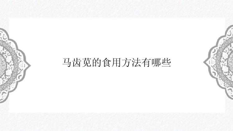 马齿苋的食用方法有哪些