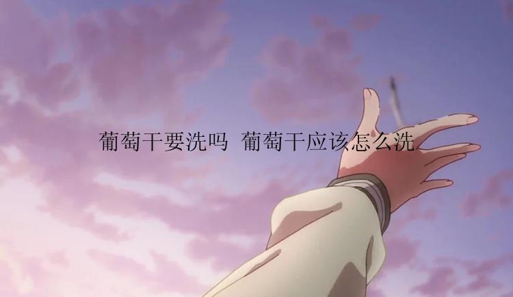 葡萄干要洗吗 葡萄干应该怎么洗