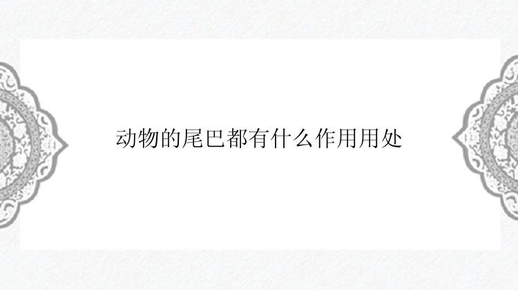动物的尾巴都有什么作用用处