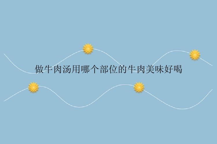 做牛肉汤用哪个部位的牛肉美味好喝