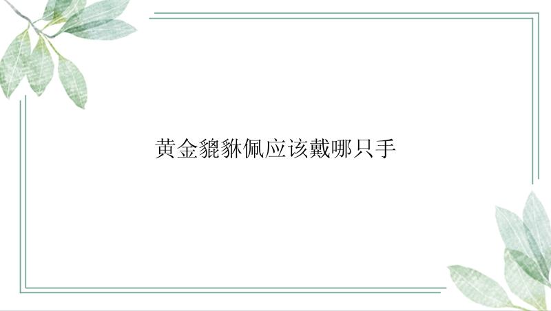 黄金貔貅佩应该戴哪只手