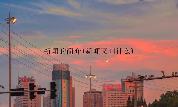 新闻的简介(新闻又叫什么)