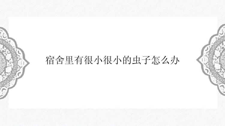 宿舍里有很小很小的虫子怎么办