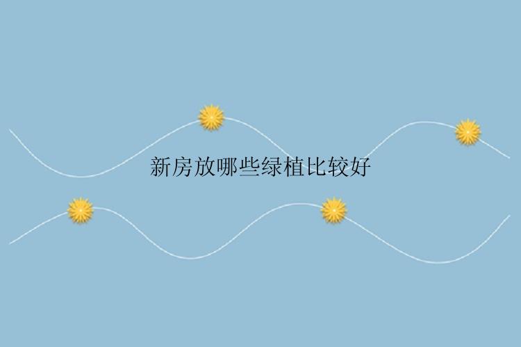 新房放哪些绿植比较好
