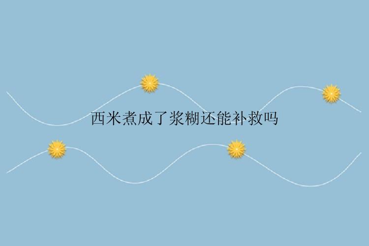 西米煮成了浆糊还能补救吗