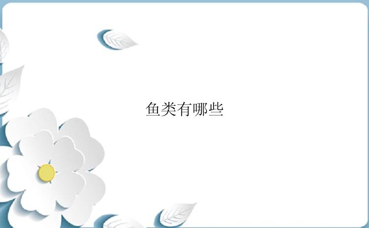 鱼类有哪些