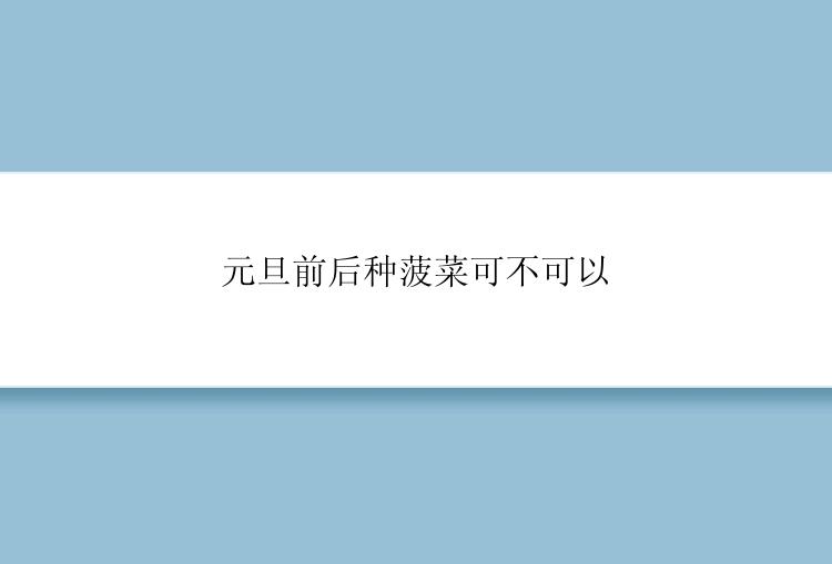 元旦前后种菠菜可不可以