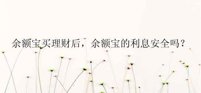 余额宝买理财后，余额宝的利息安全吗？