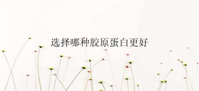 选择哪种胶原蛋白更好