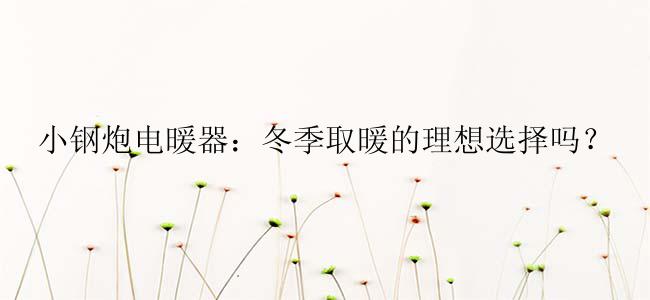 小钢炮电暖器：冬季取暖的理想选择吗？