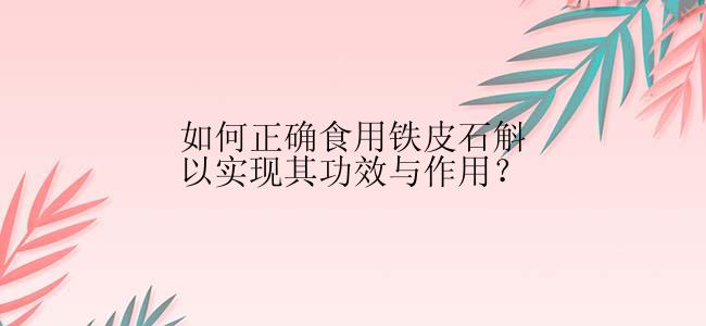 如何正确食用铁皮石斛以实现其功效与作用？