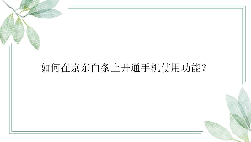 如何在京东白条上开通手机使用功能？
