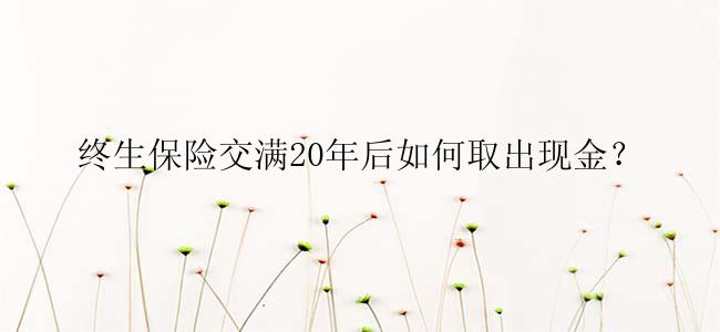 终生保险交满20年后如何取出现金？