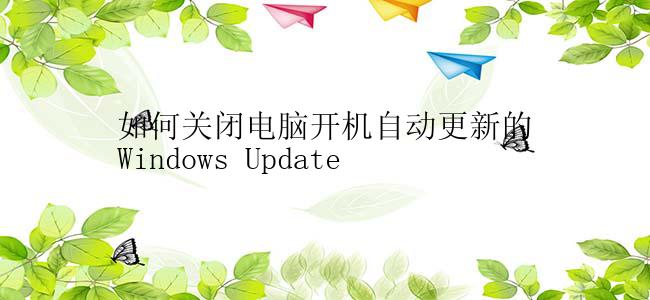 如何关闭电脑开机自动更新的Windows Update