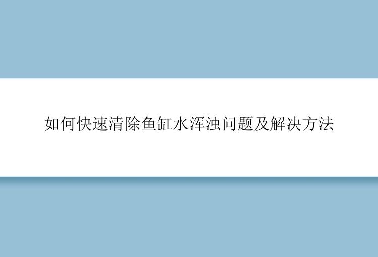 如何快速清除鱼缸水浑浊问题及解决方法