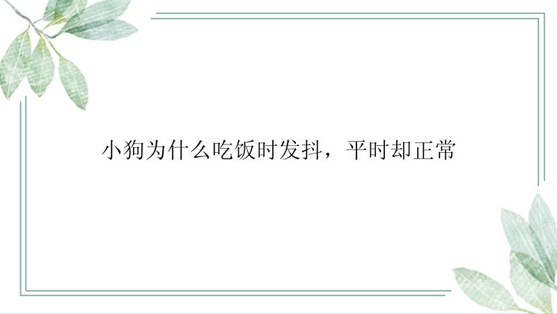 小狗为什么吃饭时发抖，平时却正常