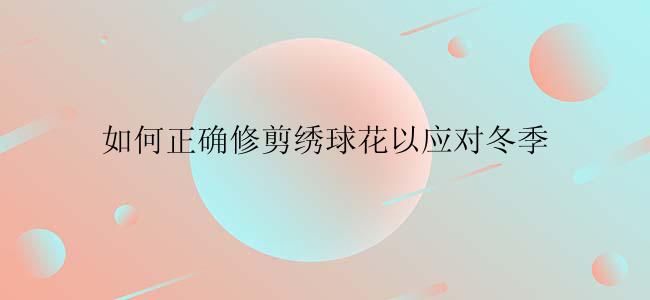 如何正确修剪绣球花以应对冬季