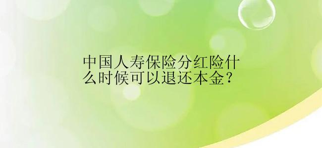 中国人寿保险分红险什么时候可以退还本金？
