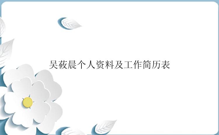 吴莜晨个人资料及工作简历表