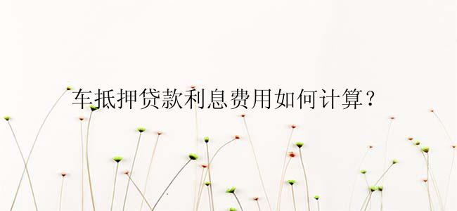 车抵押贷款利息费用如何计算？