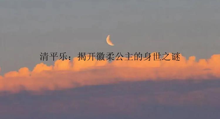 清平乐：揭开徽柔公主的身世之谜