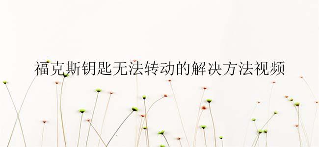 福克斯钥匙无法转动的解决方法视频