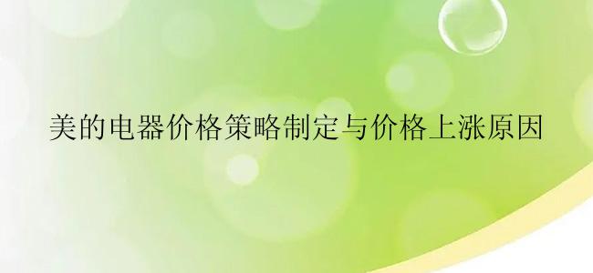 美的电器价格策略制定与价格上涨原因