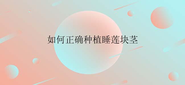如何正确种植睡莲块茎